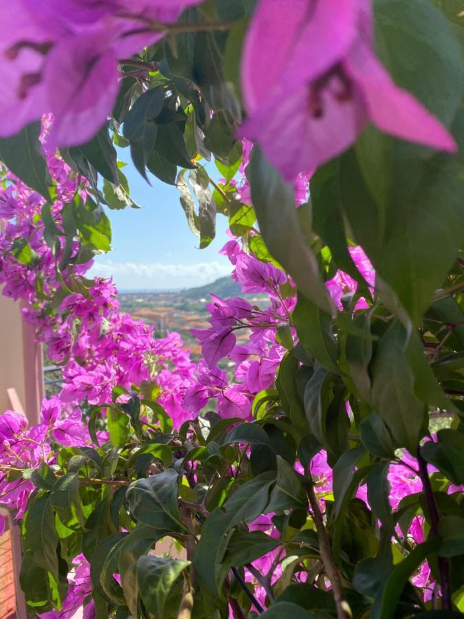 Villa Fieschi Cogorno Ngoại thất bức ảnh